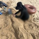 대권민박 이미지