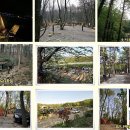 부광농장 이미지