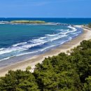 미야자키 이미지