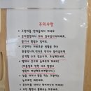 이웃집고양이&루나펠트 네이버블로그