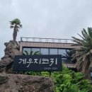 코지팬션;카페 Daum카페