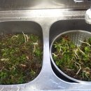 사구실농장 이미지