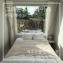 햇살가득농장펜션 | 제주도풀빌라 그라운드 플레이스, 현무암 돌담뷰와 햇살 가득한 독채 펜션 수영장 후기
