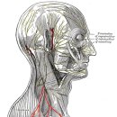 달천한의원 이미지