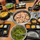 분당-157 이미지