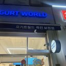 요거트월드죽전보정점