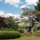 수원올림픽공원 이미지