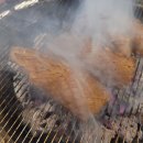 돼지한마리 이미지