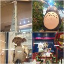 롯데몰 해리포터 팝업 & 도토리숲 후기 | 잠실 데이트 & 가족 코스