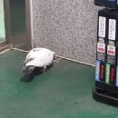 성준자동차공업사 이미지