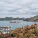 아남농장 이미지