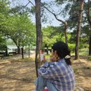 만석공원 | 수원조원동맛집 ‘텍사스바베큐알로하’ 포장 만석공원 소풍 후기!