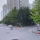 일해공원 관리사무소 앞 네이버블로그