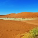 나미브(NAMIB) 네이버블로그