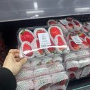 고내상 | [제주여행2] 제주도 애월 독채 감성숙소 고내다운 A타입 (feat. 통창유리 / 자쿠지)