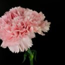 제원행정사사무소 이미지