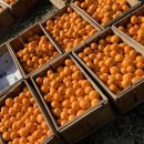 승훈농장 이미지