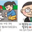 [예쁜 말 바른 말]'넙죽하다'와 '넓죽하다' 이미지