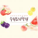 수원요리학원 추천 초보자도 쉽게 배우는 정통 한식 클래스 후기