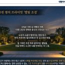 대명조경