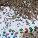 (주)월드코리아관광 | 태안 안면도 가볼만한곳 코리아플라워파크 안면암 네이처월드 오마이갤러리