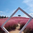 신소양체육공원화장실(주차장) 이미지