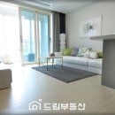 동화5차 이미지