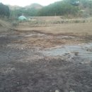 홍이네농장 이미지