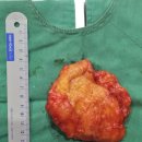 라파엘외과의원 이미지