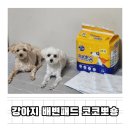 뽀숑 | 새지않는 강아지 배변패드 코코뽀숑 대형 8개월 사용 후기