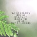 8월8일 고발뉴스 이미지