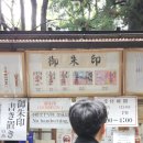 식물원사거리 | [도쿄 여행] 후지산 일일투어 후기