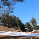 유몽인선생묘역 이미지