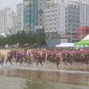 기록지- 포항영일대장거리수영대회 (5km,1km) 19.09.01 이미지