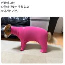 덕현초등학교 건너편 자유공원 앞 | 퉁퉁퉁퉁퉁퉁퉁퉁 사후르가 당연히 이기는 싸움 아님 ?