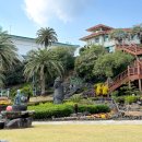 31140-5-79-23 | Ep79. 제주도 2박 3일 일정 공유 ( 제주도 봄 여행 추천 여행지 🌼 )