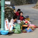 계척 Daum카페