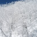 하얀세상 이미지
