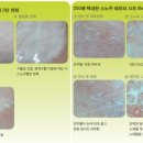미앤미스킨케어 네이버블로그