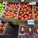 이레청과 이미지