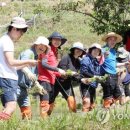 한새봉농업생태공원 이미지