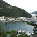 미조유람선 네이버블로그