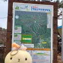 원주굽이길 원3코스 백운산자연휴양림길 이미지