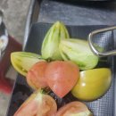 도듬 | #태종대자갈마당 #태종대조개구이, 서비스부터 다른 '올레' 후기