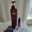 노빌레 | 닥터그루트 까멜리아 노빌레 듀얼볼륨 샴푸 내돈내산 후기｜두피 가려움·볼륨 고민