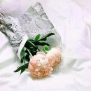 반갑습니다, 천리마님!! 이미지