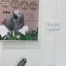 행복농장 봉화지점 | 기장아이랑 기장아기랑 기장아이와가볼만한곳 치유농장 온담