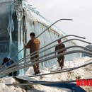 월호농장 이미지