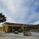 인천불로초등학교 | 제주 귤메달 황금향 추천 구매 후기 휴애리 맞은편 제주 감귤 직판장