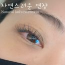 래쉬바이미네(Lash by Mine)